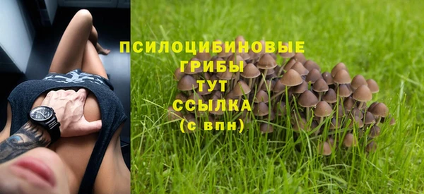 каннабис Абаза