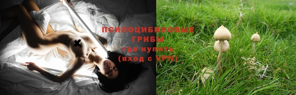 каннабис Абаза