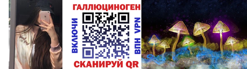 где купить Шахунья Галлюциногенные грибы Cubensis